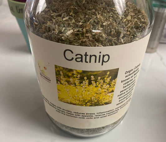 Catnip
