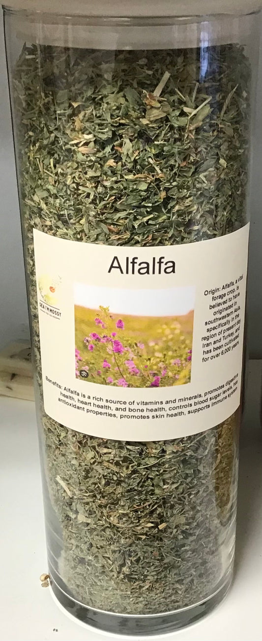 Alfalfa