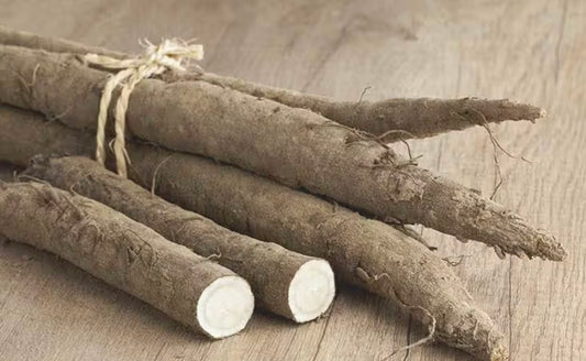 Burdock Root