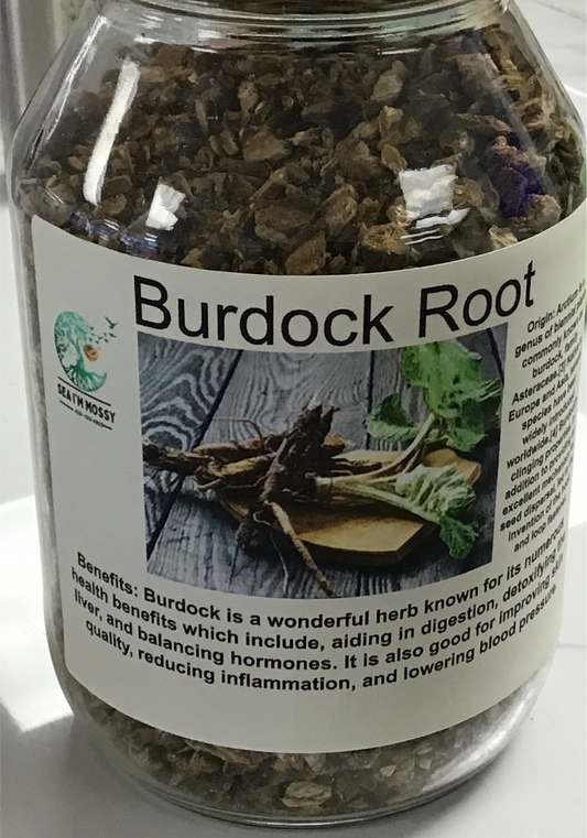 Burdock Root