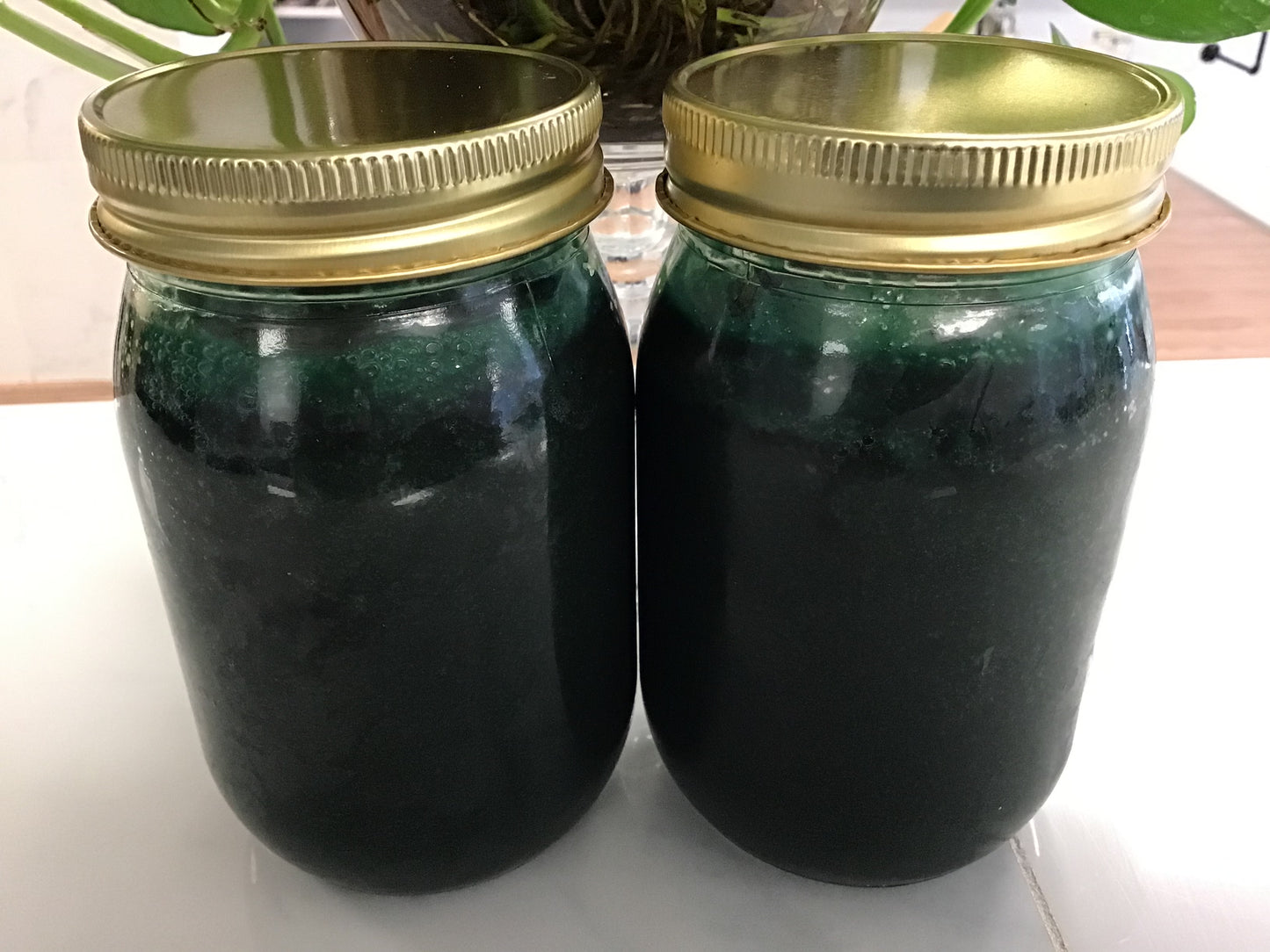 Green Sea Moss Gel w/ Spirulina