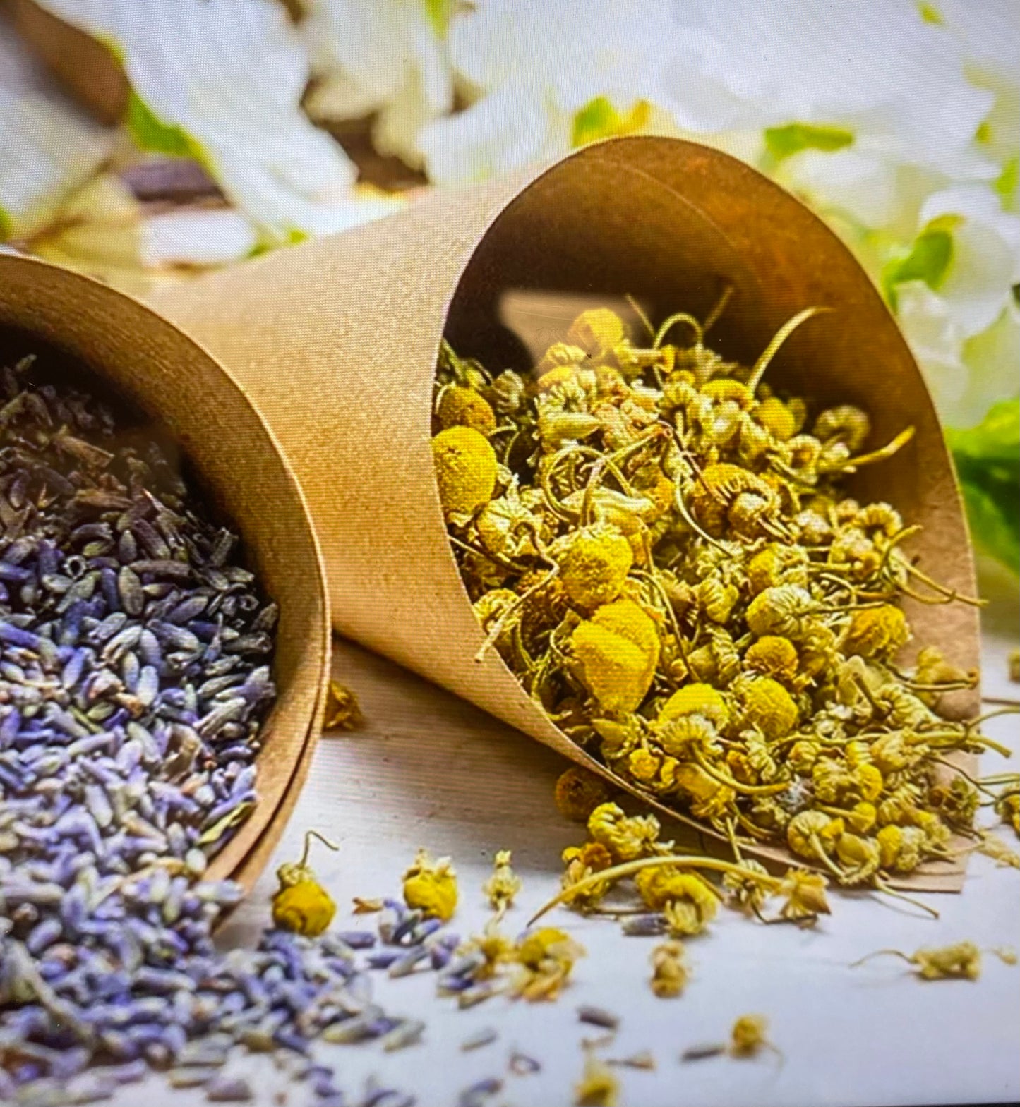 Chamomile