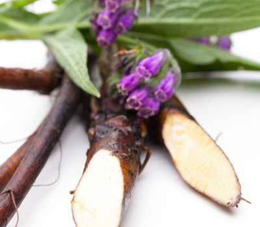 Comfrey Root