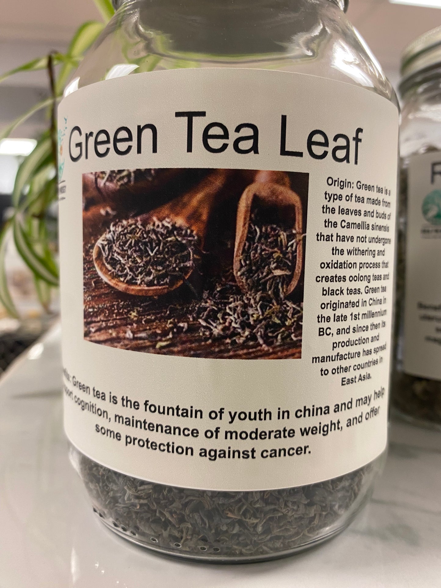 Green Tea Leaf