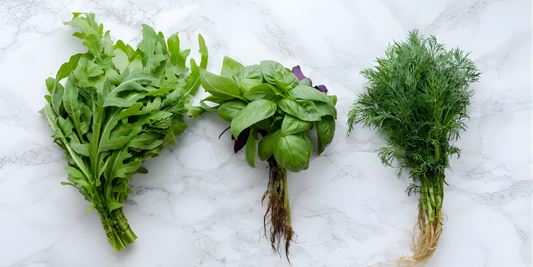 Herbal Knowledge Course