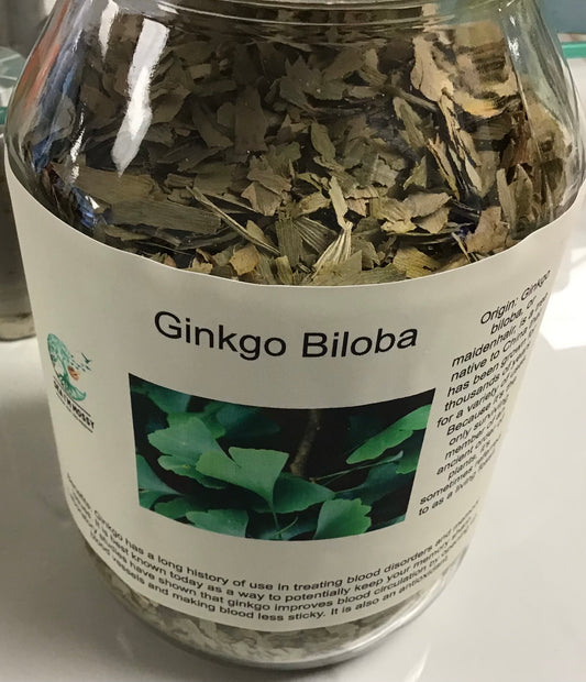 Ginkgo Biloba