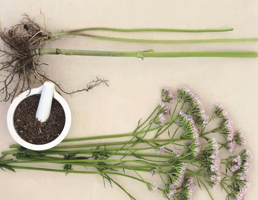 Valerian Root